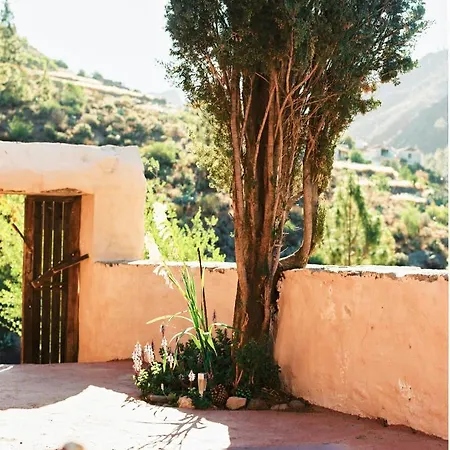 Casa Rural Lomito Del Pino Tejeda  Exterior photo