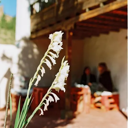 Casa Rural Lomito Del Pino Tejeda  Exterior photo