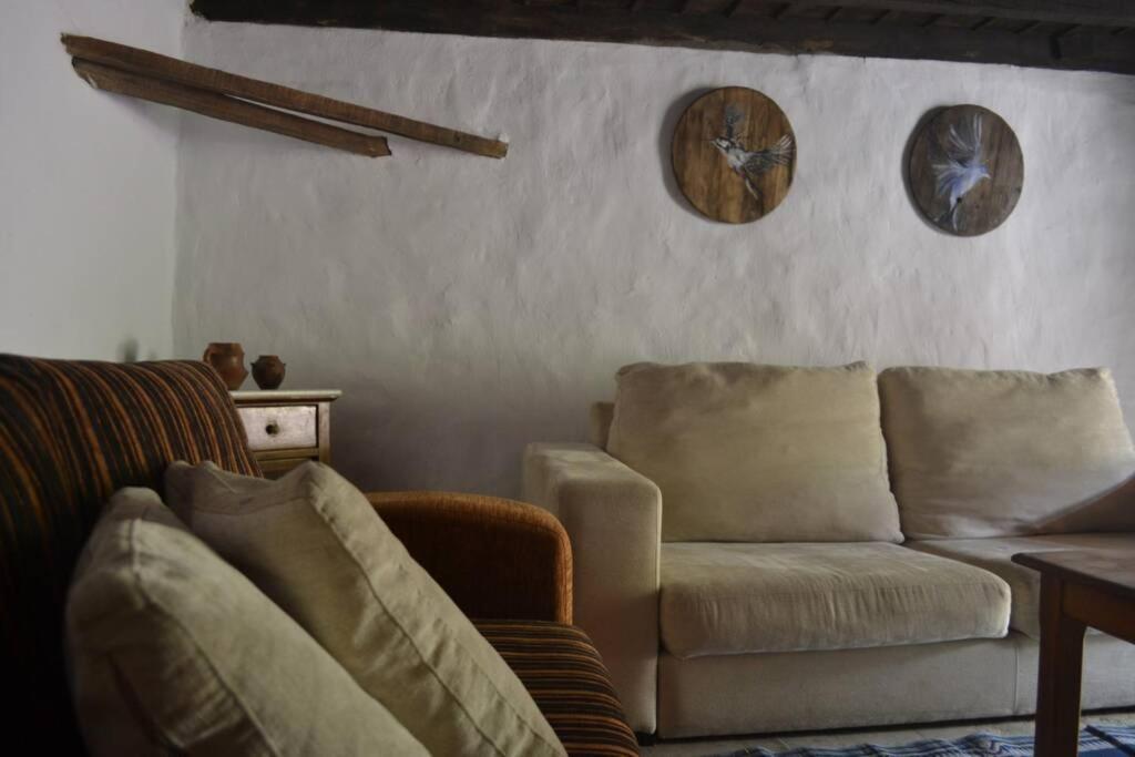 Lomito Del Pino Holiday home *