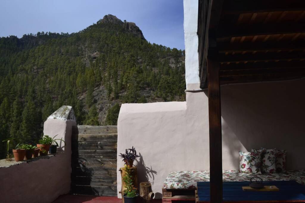 Holiday home Lomito Del Pino
